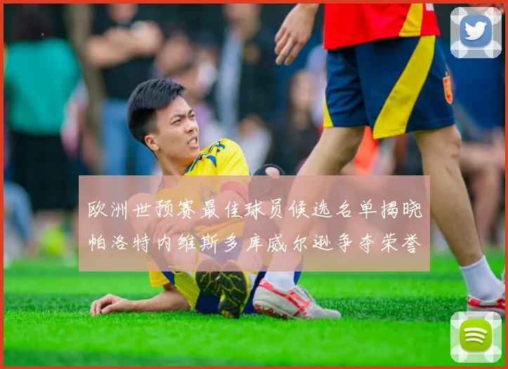 欧洲世预赛最佳球员候选名单揭晓帕洛特内维斯多库威尔逊争夺荣誉