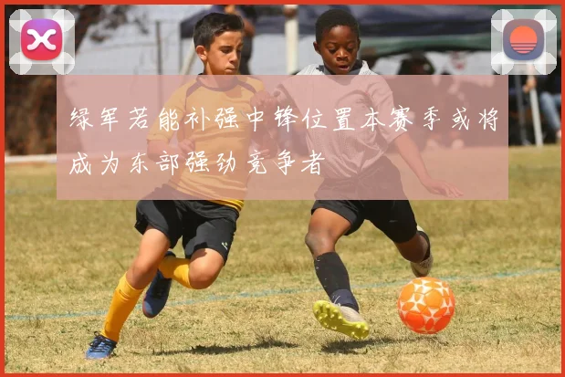 绿军若能补强中锋位置本赛季或将成为东部强劲竞争者
