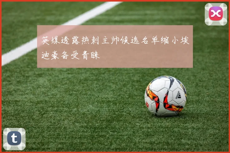 英媒透露热刺主帅候选名单缩小埃迪豪备受青睐