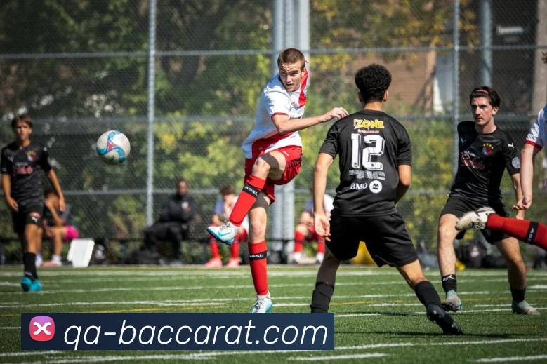 App Interface Preview