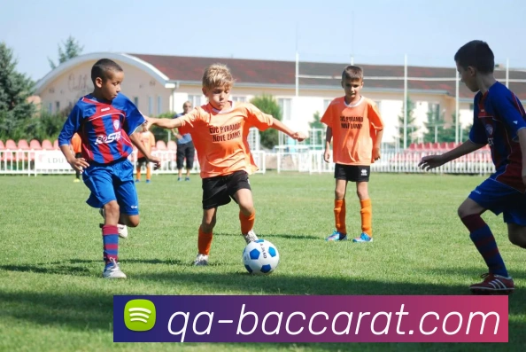 百家乐网站APP 封面图